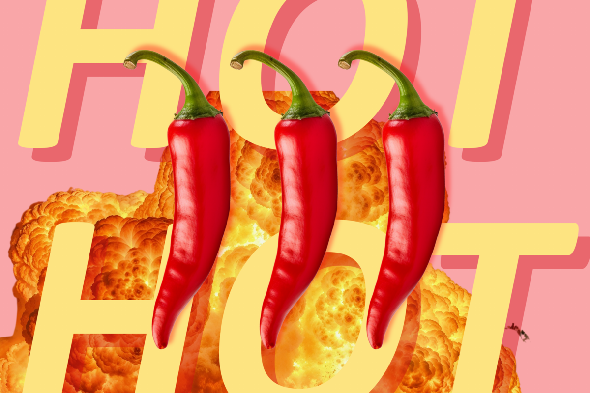 Sekushi (ft. Lara Chedraoui) lanceren single Hot Hot