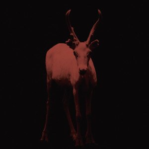 The second single from Finnish progressive metal band Humming Whale's upcoming debut album is now released!