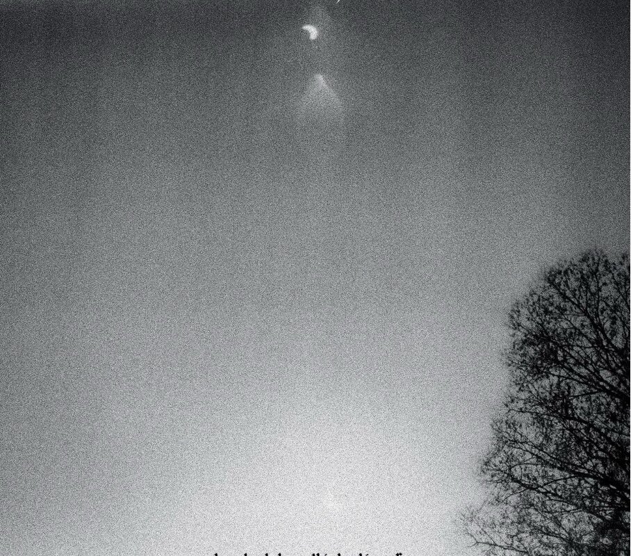 Tashi Dorji Announces New Album, Out Jan. 30th - New Single "gathering" Out Now