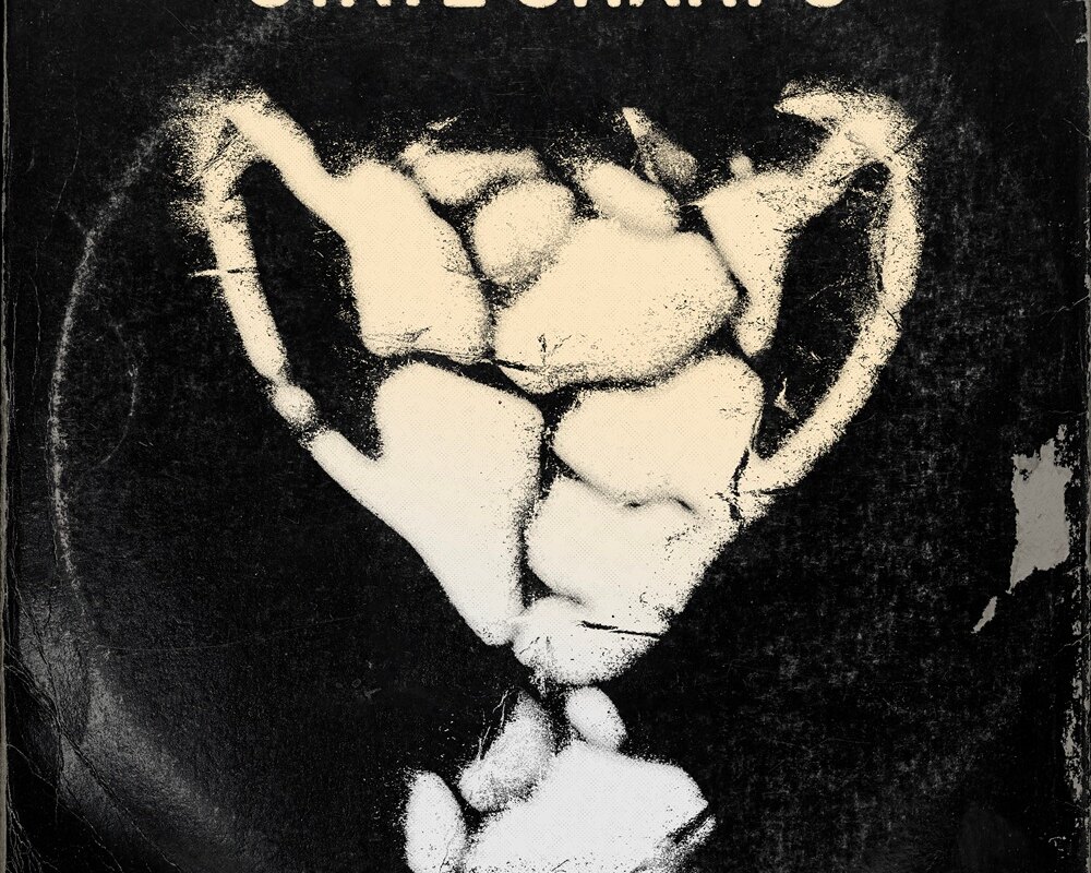 State Champs Release Reimagined Single and  New Music Video for “(For The) Hell Of It”