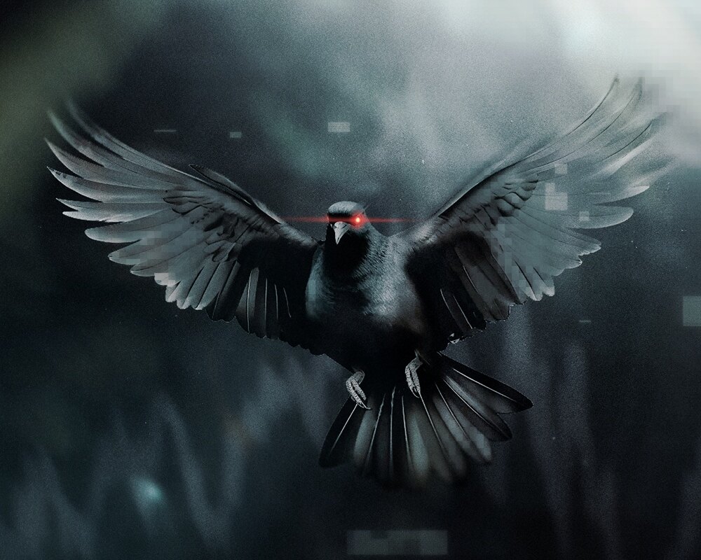 Arkansas Quartet Levels Share Video For New Single "Black Dove"