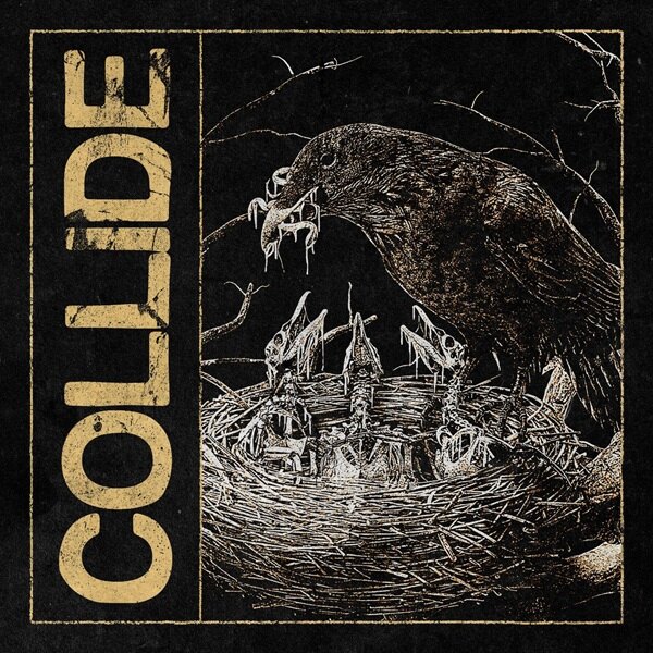 Stray View Dropped Fiery New Anthem: “Collide”