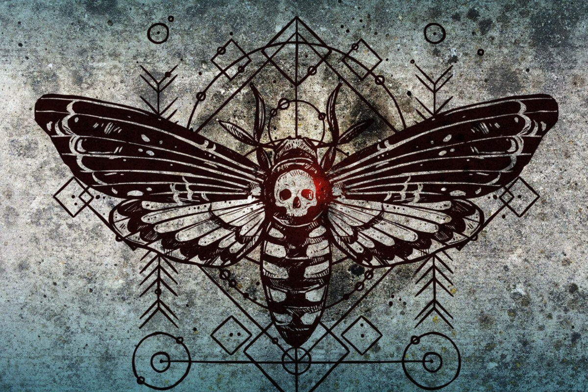 Pavic Rome-based modern hard rock force unleashes “Live To Thrive” video 