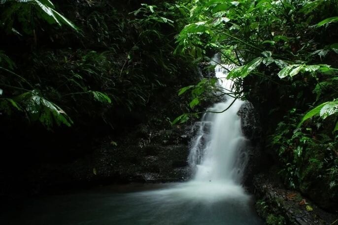 Cosmic Moon Flow - Online Retreat starting Jan 4 and Bali Full Moon Retreat - March