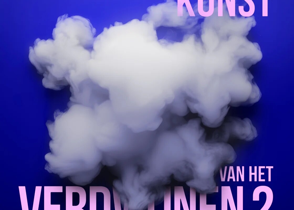 De schaduwzijde van de geschiedenis in De kunst van het verdwijnen 2