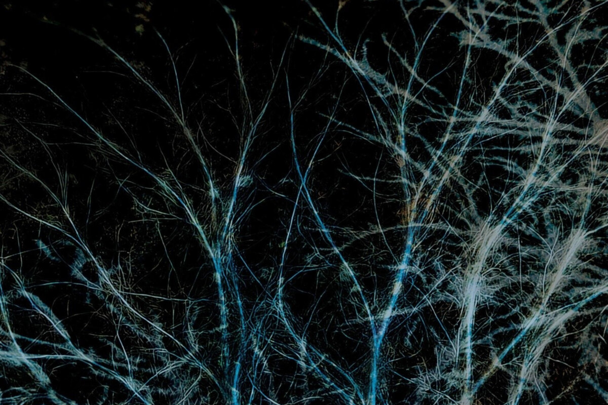 Cinematic Post-Rock Project Thistle Sifter Reveals New Video Single from Upcoming Album.