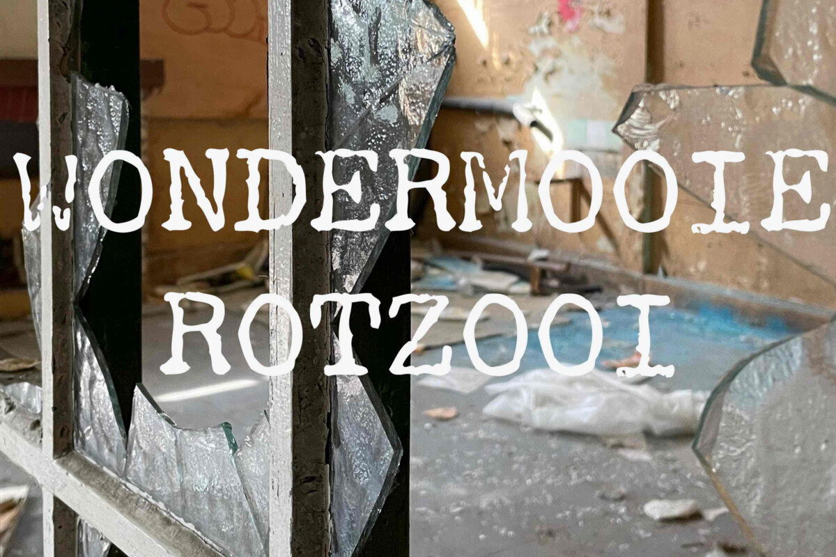 'Wondermooie Rotzooi', nieuwe single/videoclip van Wouter Thijssen, out now 