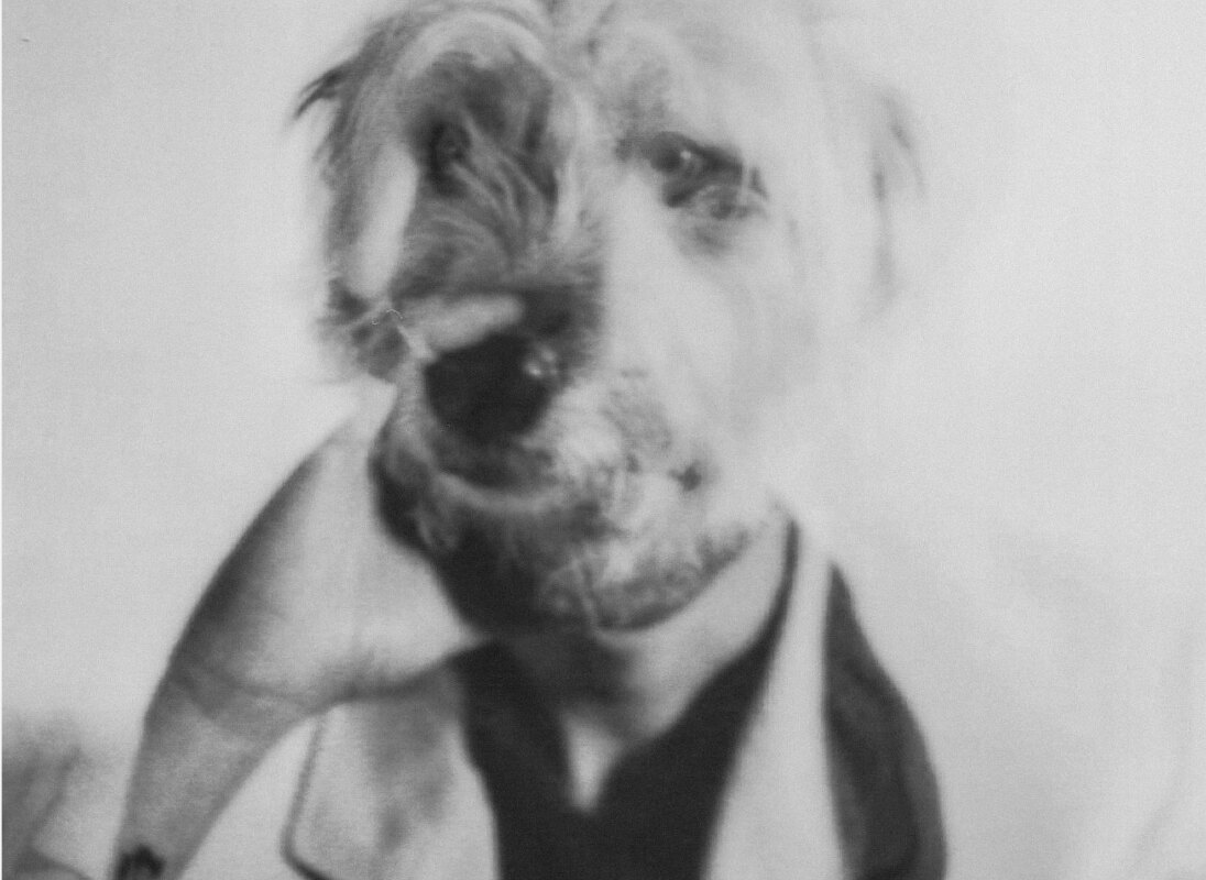 Shy Dog stelt single The Bells Tolls voor