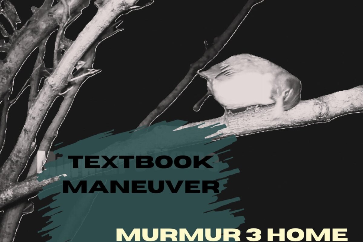 Synth Savant Textbook Maneuver to release ‘Murmur 3 Home’ (FFO: Jean-Michel Jarre, Vangelis, Aphex Twin)