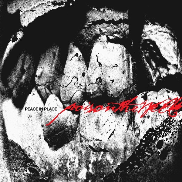 Poison The Well Share Video For New Single "Everything Hurts" - New Album "Peace In Place" Arrives On March 20 Via Sharptone