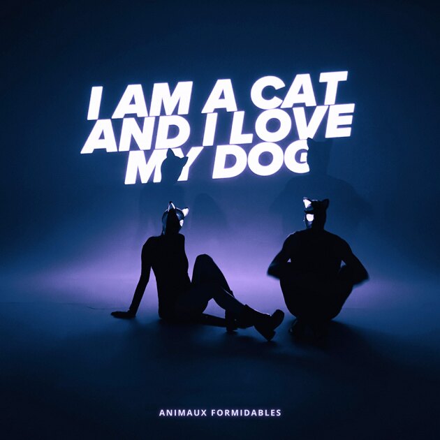 Animaux Formidables Release New Video for "I Am a Cat and I Love My Dog"!