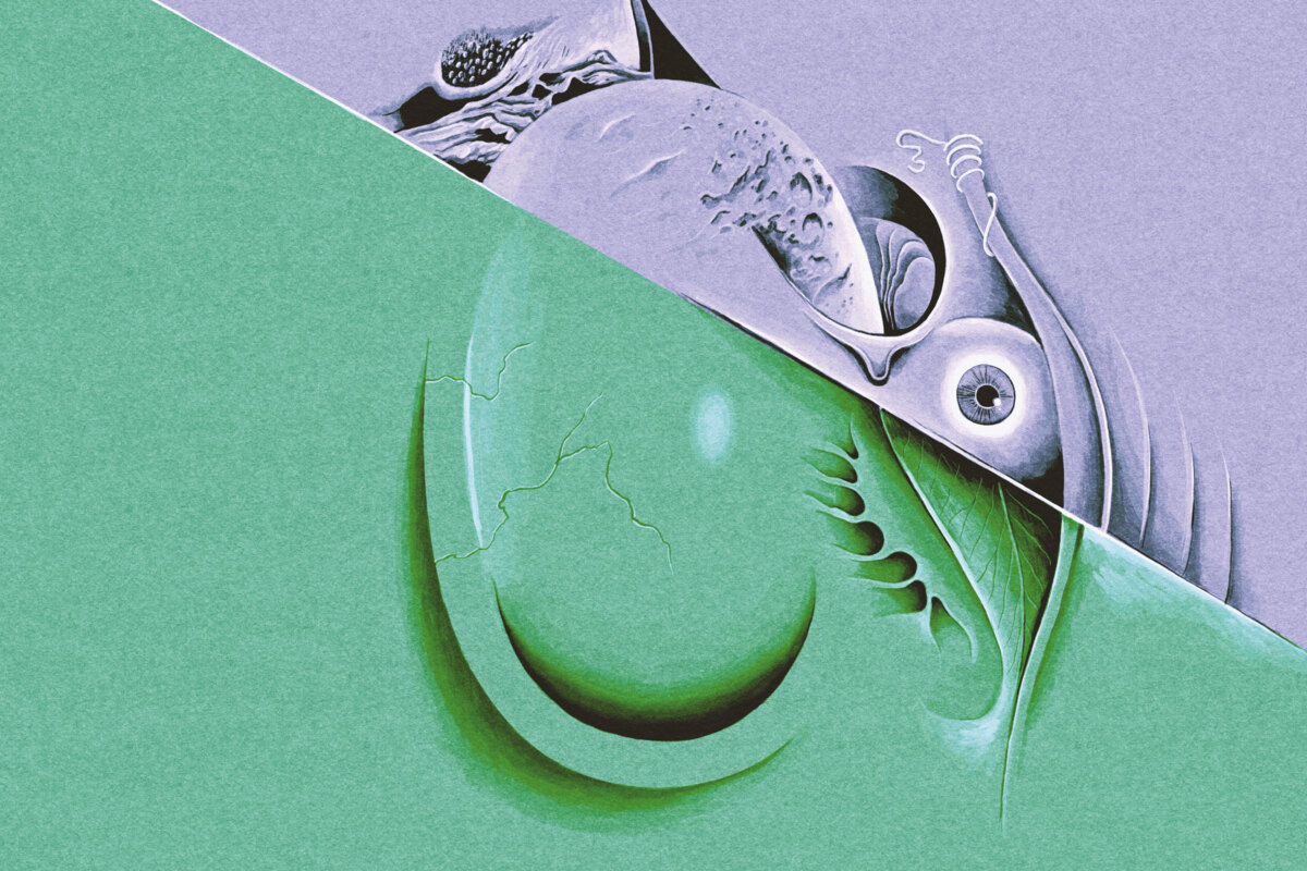 Razen & Dick van der Harst announce new collaborative album