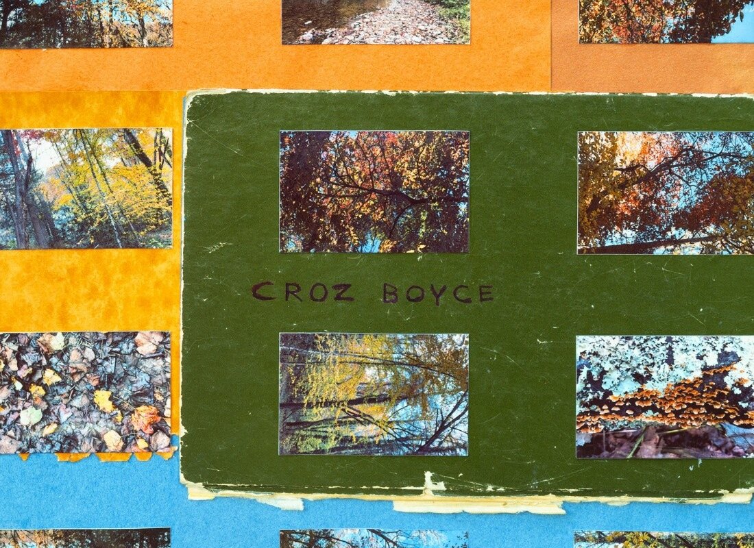 Animal Collective’s Dave Portner & Brian Weitz unveil new instrumental duo Croz Boyce