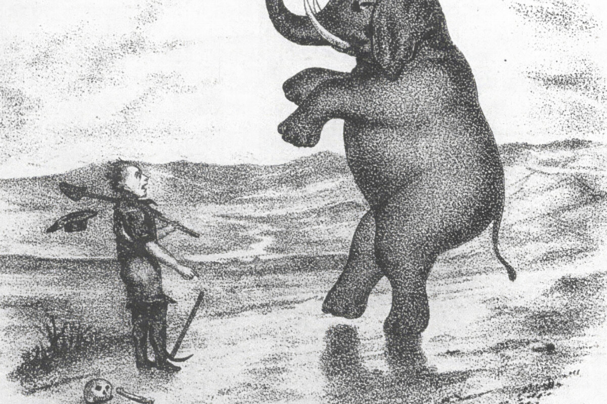 Cass McCombs & Hand Habits Announce "Seeing The Elephant" split 7 inch