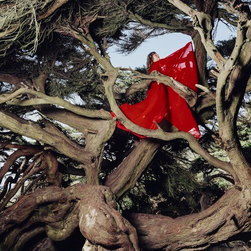 Hannah Frances Releases Mary Lattimore Collaboration From 'Nested in Tangles (Deluxe),' Out Today on Fire Talk