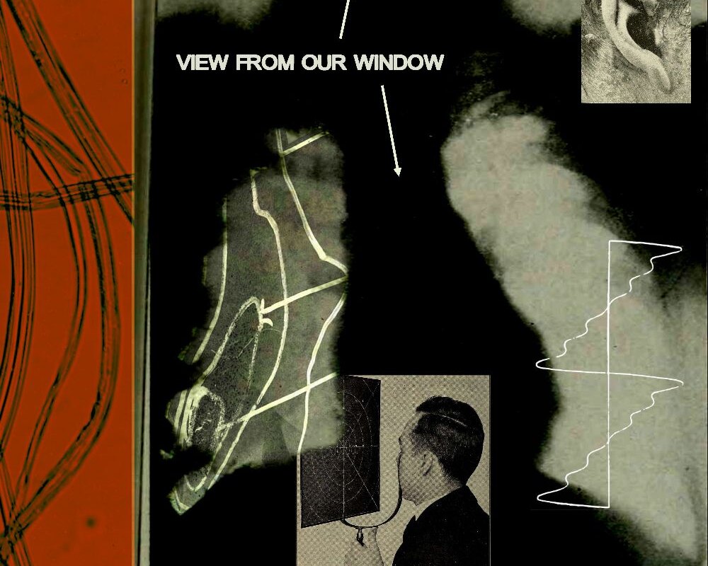 Adult Leisure share new single 'View From Our Window' and sign global bookings deal with WME