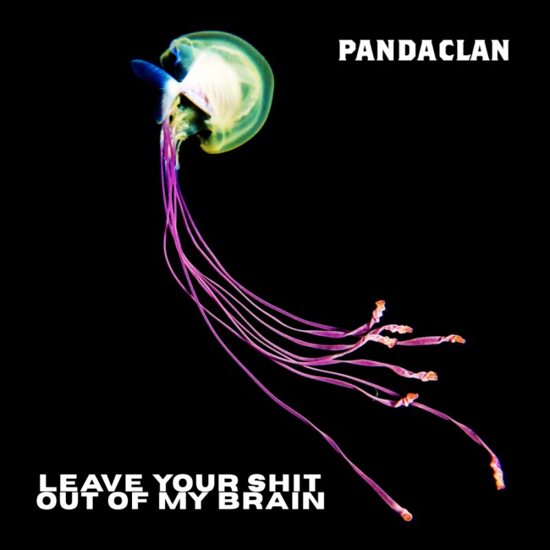 Panda Clan, - New Album "LEAVE YOUR SHIT OUT MY BRAIN" Out June 12th