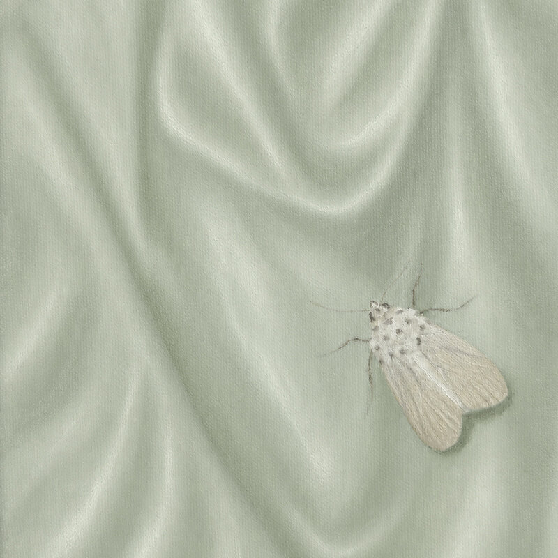 Single out now: Chad Lawson - "held by evening"