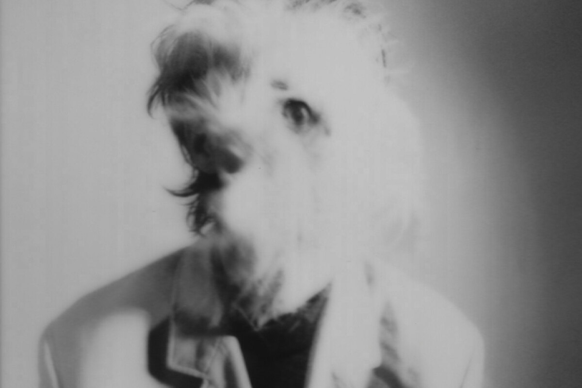 Shy Dog lanceert Classic Rock Bottom Move