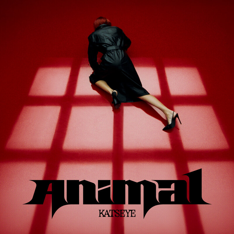 Katseye returns with “Animal”