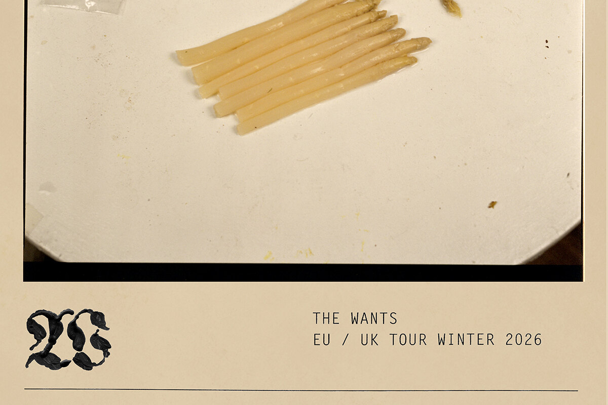 The Wants | EU and UK tour announcement