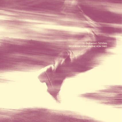 Bees Made Honey in the Vein Tree release the fourth album "In Between Strides"