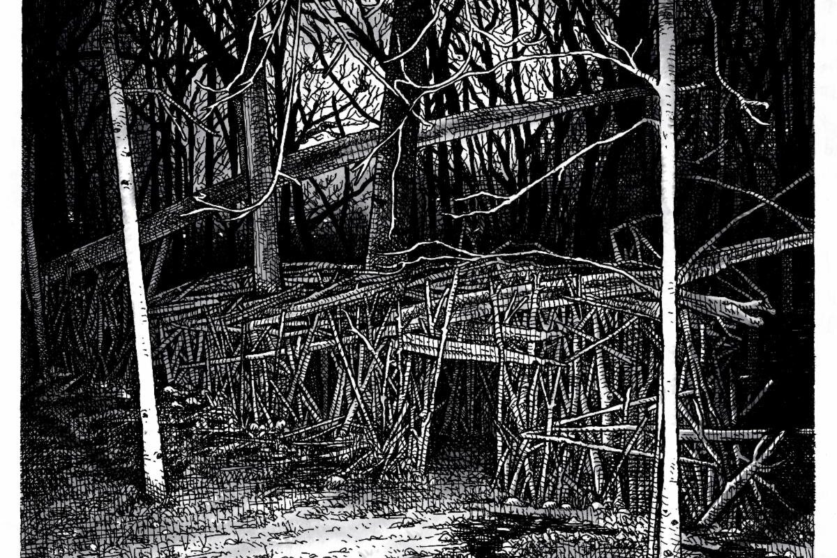 NY post-rock group Halfway Up A Jagged Hill share final album preview "Silver Sword"