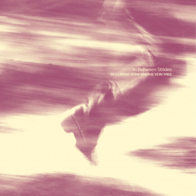 Bees Made Honey In The Vein Tree   reveal music video 'Clutching at Straws' taken from new album "In Between Strides"!