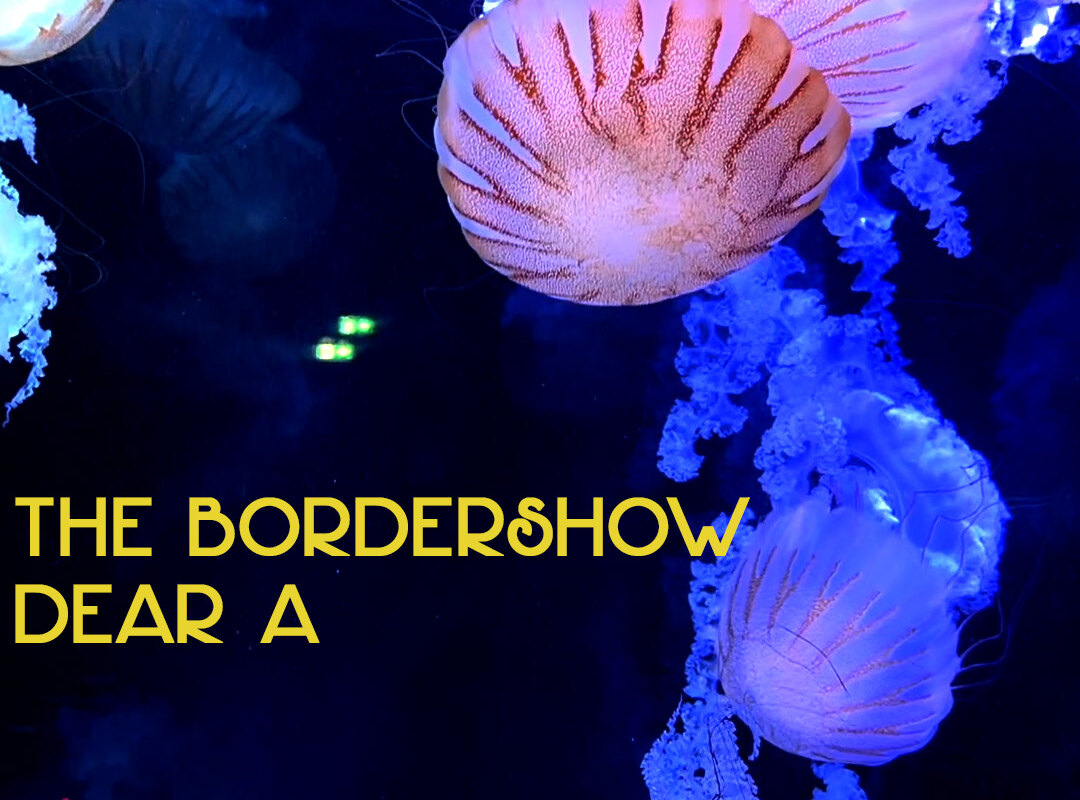 'Dear A', nieuwe single van The Bordershow, band rond Maarten Huygens (Intergalactic Lovers)
