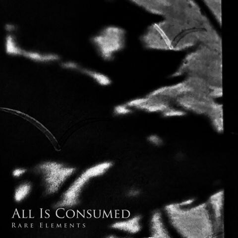 Finnish one-man metal band Rare Elements have released a new single called 'All Is Consumed'.