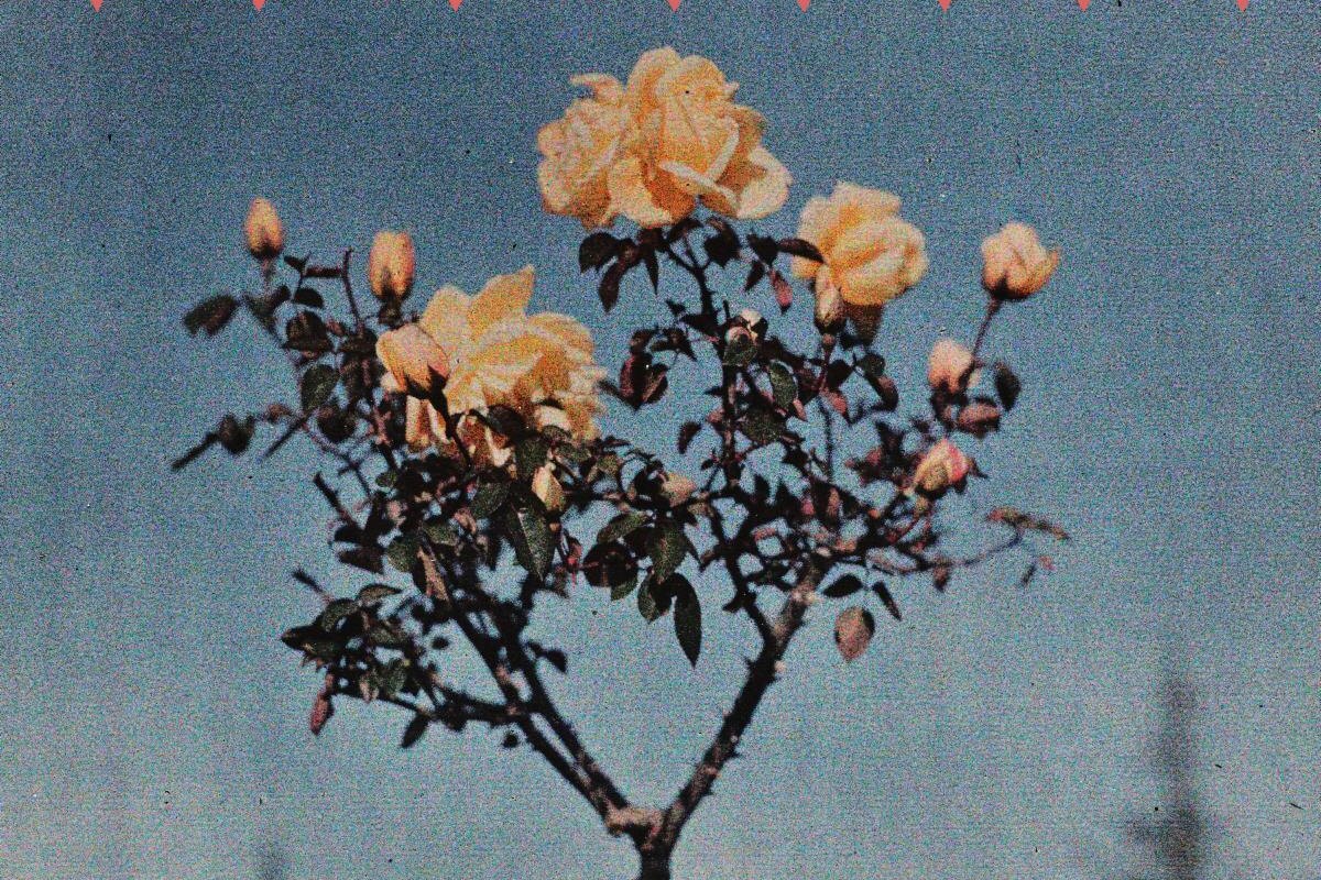 Vlad Holiday returns with first new music in two years