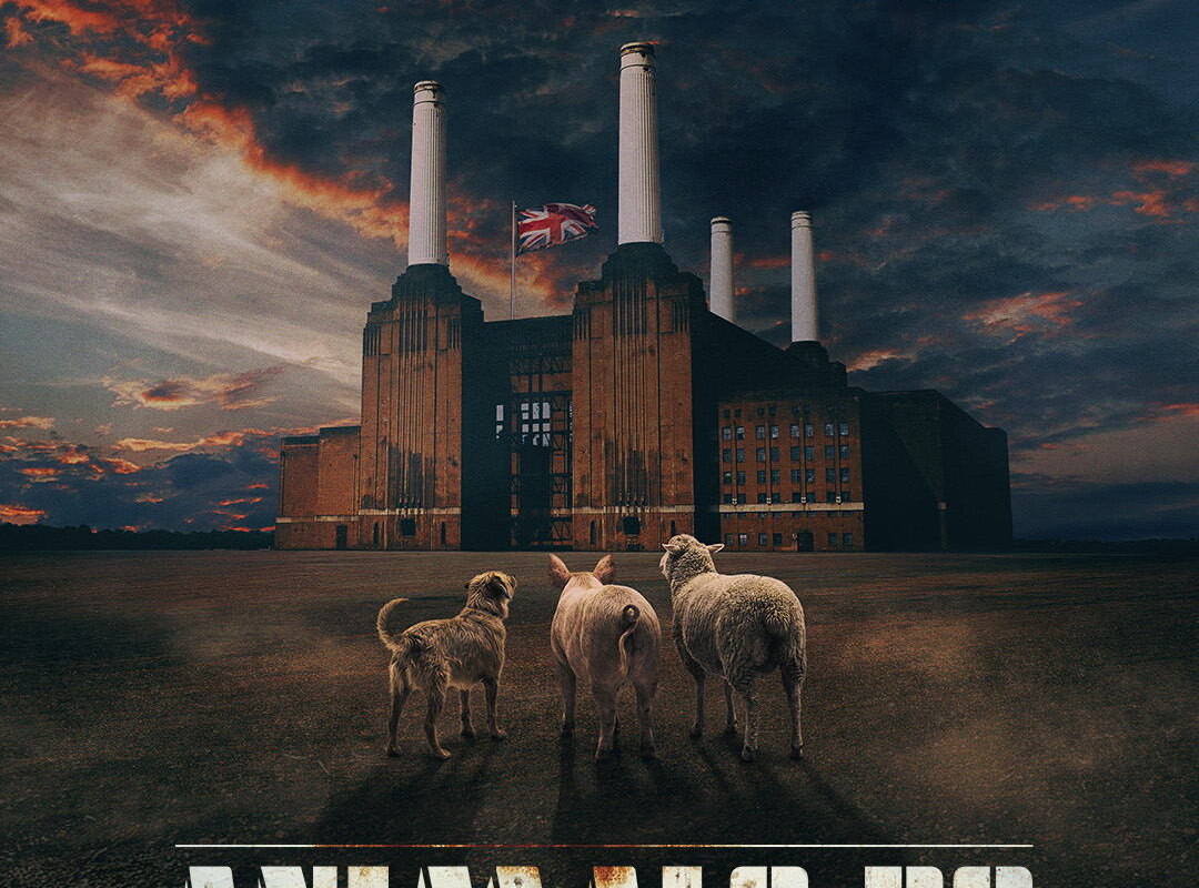 Brit Floyd speelt op vrijdag 22 oktober 2027 in Kursaal Oostende