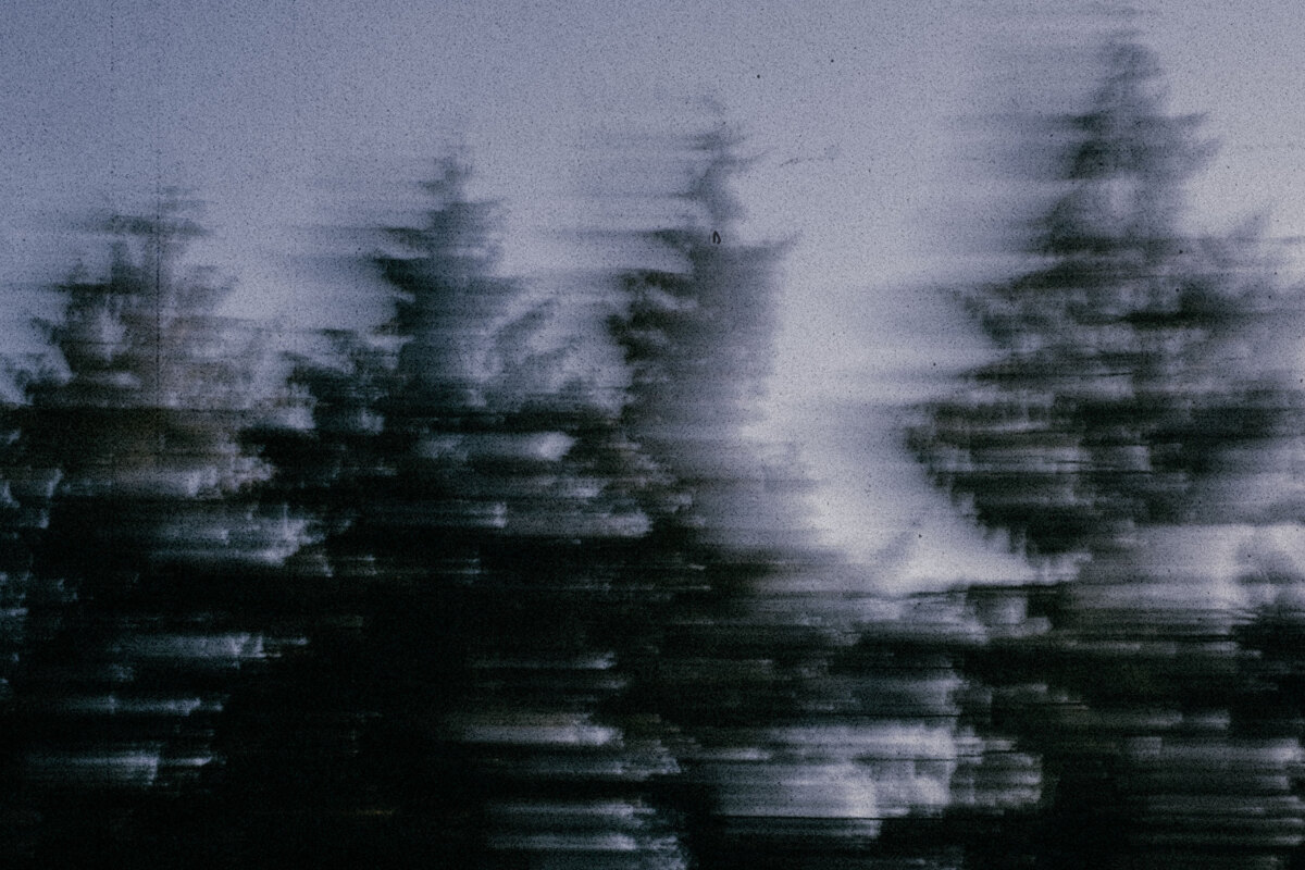 Bertie Newman signs to V2 and releases new single "Between The Pines"