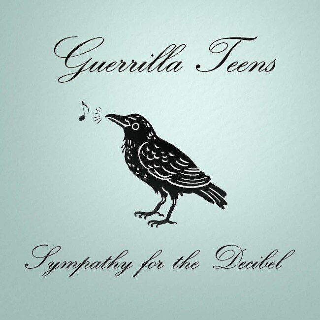 Guerrilla Teens Deal Out the Distortion on New EP Sympathy for the Decibel