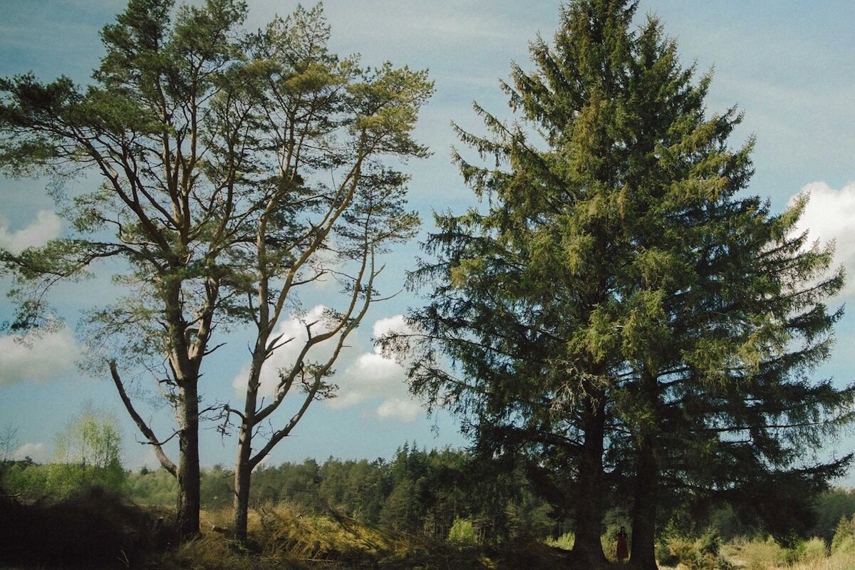 Siv Jakobsen announces new album Scandinavian Dread. New single 'On You' feat. Marit Larsen out now