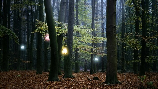 Eerste editie van intiem festival La Truite Magique aanstaande vrijdag van start