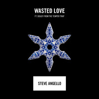 Steve Angello feat. Dougy from The Temper Trap - "Wasted Love"
