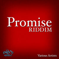 Dnyce Muzic Delivers the Promise Riddim