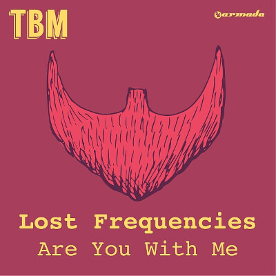 Lost Frequencies scoort hit met "Are You With Me"