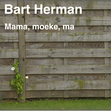 Nieuwe single voor Bart Herman