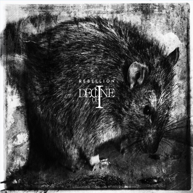 Decline of the I share third taste of new album