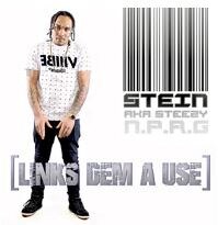 Stein Delivers “Links Dem Ah Use” 