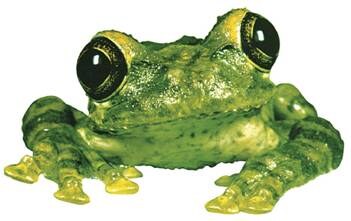 Silverchair releases Frogstomp 20th Anniversary Deluxe Edition