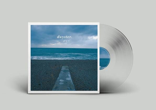 Duyster.Sessions - de mooiste live sessies uit duyster verzameld op vinyl