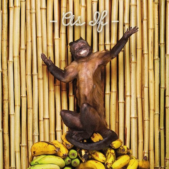 !!! (Chk Chk Chk) Release New album 'As If' out October 16 on WARP 