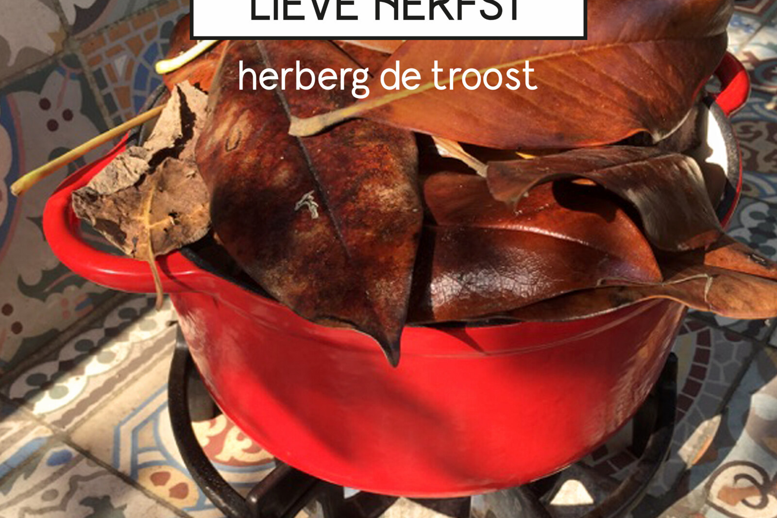 Nieuwe single voor Herberg De Troost: "Lieve Herfst"