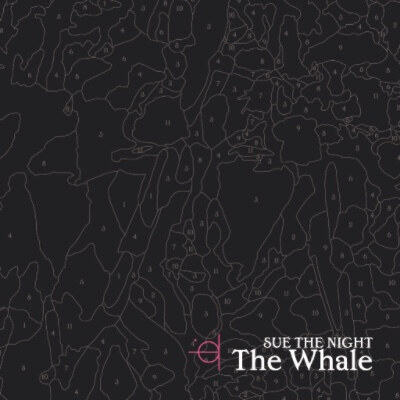 Sue The Night brengt debuutalbum ‘Mosaic’ uit in België! 