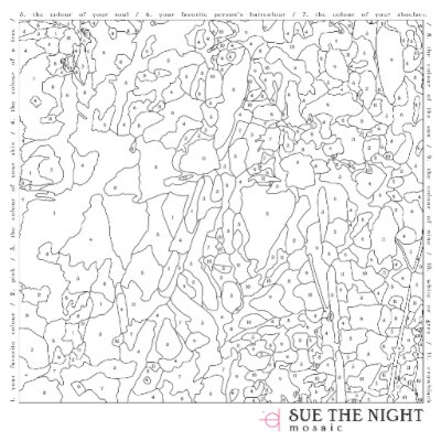 Debuutalbum Sue The Night komt vandaag uit in België!