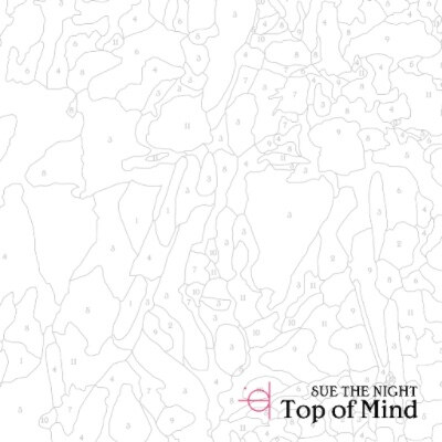 Sue The Night lanceert nieuwe single ‘Top of Mind’!