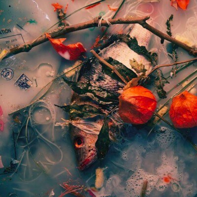 Is Tropical releases it’s fourth instalment today!